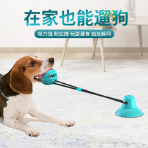 Dog toy suction cup rally dog pet ball large dog resistant to bite molars and dull artifact golden hairy supplies play for yourself