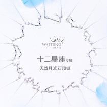 12 Constellation Necklace Female Sterling Silver Moonlight Stone choker Capricorn Aries Gemini Water Bottle Pisces Birthday Gift