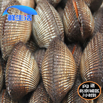 Beijing flash send 500g fresh clams fresh clams sea cockles seafood aquatic shellfish