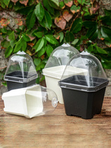 Thick meat flower plastic flower pot size black and white square pot 7 10cm square cuttings seedling leaf pot