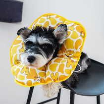 Waterproof sun flower collar Pet dog collar Cat sterilization products Anti-licking and anti-biting headgear Shame ring