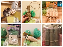 Ball ball sauce Totoro rabbit Guinea pig molar toy collection wooden biting ball Japan imported biting wood square dart