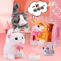 Cat doll simulation will be called childrens plush toy girl 2021 net red doll birthday gift