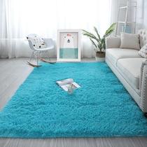 Shaggy Carpet for Living Room Home Plush Floor