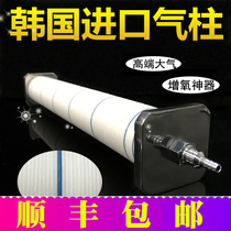 Original Clothing Korea Imported Aquarium Fish Tank Fish Pool Oxygenation Bubble Bar Air Strip Aeration Column Gas Pan Stone Gas Head