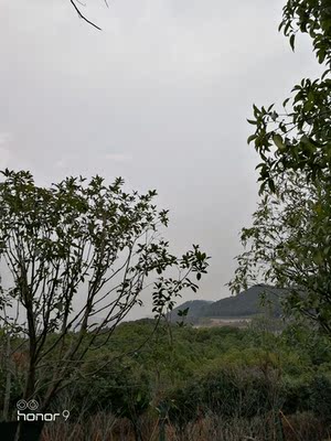 宝贝收到和图片一样，做活动买的很划算，宝贝比图片好看，我是买着放着的，先好评，等以后穿了在追评。