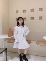 Bora bora Korean childrens clothing girls dress 2021 spring new female baby lace princess dress Western trend