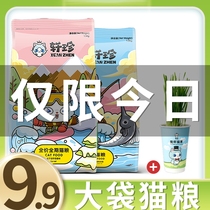 Cat grass cup planting set Wheat seeds Coconut shell nutritious soil Potted cat grass has been planted ready-to-eat hairball snacks