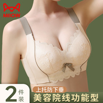 Cat person lingerie female small breasts coalfield with large thickened collection of auxiliary milk free of steel ring adjustment type anti-sagging sexy Wen bra