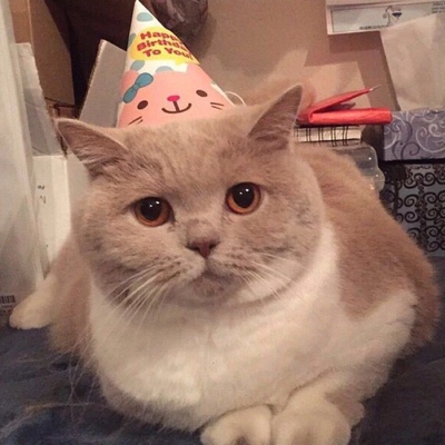 以前在天猫淘宝上买东西,都是系统自动好评,花了有好多好多钱,后来才知道淘宝评论得积分可以涨淘气值时,才知道评论的重要性,所以以后无论买什么东西,我都先把这段话复制粘贴下来,然后再写宝贝评论,没错,评论80个字以上就可以获得50个积分。 以前在天猫淘宝上买东西,都是系统自动好评,花了有好多好多钱,后来才知道淘宝评论得积分可以涨淘气值时,才知道评论的重要性,所以以后无论买什么东西,我都先把这段话复制粘贴下来,然后再写宝贝评论,没错,评论80个字以上就可以获得50个积分。