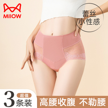 Cat Human Pants Lady Pure full cotton crotch High waist to collect belly Belly Sexy Lace Summer Thin girl shorts