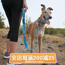 Sierra Pet American imported RW Ryanke Wiryanke Weaving Dog Collar Metal Hook 4 Colors Available