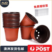 100 plastic nursery flowerpots thickened and durable environmentally friendly self-priming home nutrition cups (Australia shipped)