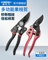 Super agricultural pruning pruning pruning thick pruning garden garden forest home with scissors flowers and vines