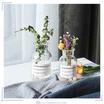 Ins Nordic wind glass flower bottle transparent dry vase art small fresh living room water cultivation European ornaments