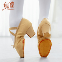 Dance Castle Adult Dance Shoes Women High Heel Soft Bottom Practice Shoes Teachers Shoes Dance Shoes Folk Belly Dance Ballet Shoes