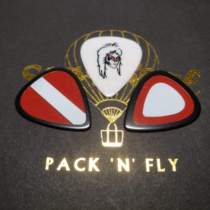 Japanese-made Aria electric wood folk guitar bass PLO pick JAIL Bridge signature collection gift