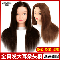 Hair head model Full real hair apprentice barber shop model head dummy head model can be hot dyed cut and blow modeling doll head