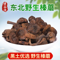 Guozi Northeast local specialties Shanzhen dry goods wild Changbai Mountain hazelnut mushroom 250g chicks mushroom wild new goods