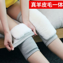 Hook and loop wool knee warm lao han tui male Ms. middle-aged and elderly dedicated leggings winter thick cold ride