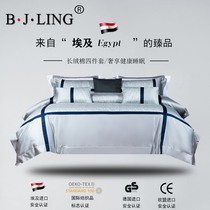 Baijialovers Nordic Wind Long Suede Cotton Beds Bedding Four Pieces Full Cotton Printed Light Lavish Minimalist Sheets Quilt Cover