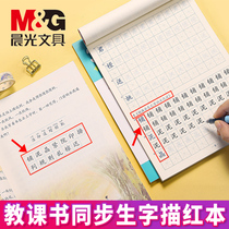 Morning light practice copybook red book Red Book Book Student Book Book Student Book Book Book first grade calligraphy book book primary school children 1-3 Grade copybook