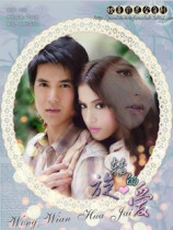 Support DVD Thai Spinning Love Thai Chinese characters All 16 episodes 3 discs