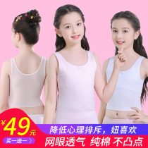 Girls development period small vest Primary school students wear childrens growth bra Girls anti-bump underwear in the first stage of the childs development period small vest Primary school students wear childrens growth bra