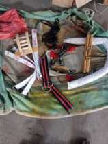 Old-fashioned New with splint horse set sightseeing pumpkin carriage royal carriage special horse harness