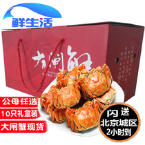 Beijing flash hairy crab live crab River crab 1 6-2 5 Two males and females choose 10 SF