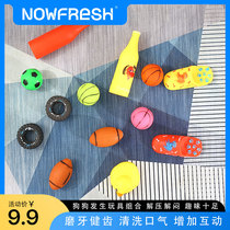 Dogs toys resistant to puppies Antiquity Rugby Bites rugby Bears Coketedi Small dog puppies Pet Supplies