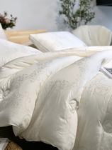 Soy Protein Fiber Thickened Soft Quilt Core Spring Autumn Jacquard Quilted Bedding Summer Quilt Single Double Season Warm Winter Quilt