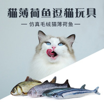 Simulated plush cat fish toy cat toy cat toy cat mint tease cat toy fish cat pillow pet supplies