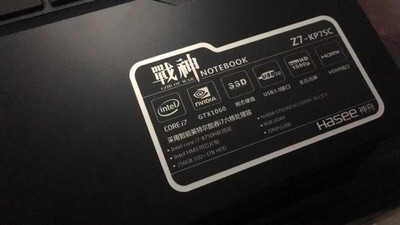 调查心得特别关注雷神游戏笔记本怎么样,真的是海尔公司的品牌吗