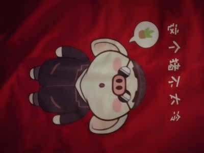 猪年大吉，为年会活动统一选购的🌞🌞🌞