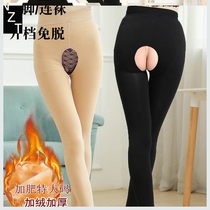 Stockings ladies autumn thin velvet padded pantyhose free-from-out one-piece socks pants plus velvet bottoming socks