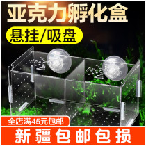 Fish tank isolation box Peacock fish breeding box transparent acrylic hatchbox for protection of turtle small fry juvenile fish production