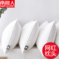 Antarctic pillow pillow core a pair of hotel household cervical pillow single double student dormitory full male