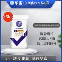 China animal 5%laying hens pre-egg production premix Chicken shell powder Soybean meal trace elements Veterinary feed additives