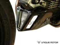 Germany CarbonWorld carbon fiber engine lower guard Ducati Monster 696 796 795 1100