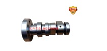Dongben motorcycle tricycle water-cooled chain machine CB250 300 173 2 valve camshaft