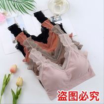 Dime Rey 1613 Little Bear Beauty back wrap chest No steel ring bra Colour wide shoulder lace Breasted Lady Vest Underwear