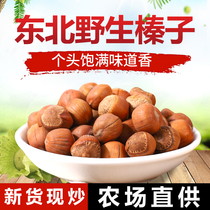 Northeast wild hazelnuts Tieling specialty 2019 big wild mountain fried and cooked large fresh hazelnuts 500g raw bulk