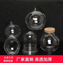 Micro landscape ecological bottle mini green plant potted diy bryophyte creative glass bottle ornaments oblique bottle hanging bottle