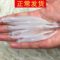 (Regular hair) 3 Jin 168 yuan silver fish without bone-piercing baby supplementary food noodle fish ice fish small silver fish fresh seafood