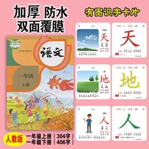 Childrens preschool baby looks at the picture literacy card Enlightenment 0-3-6 years old kindergarten whole brain early education puzzle memory