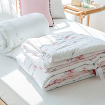 Pure cotton spring and autumn quilt Cotton 2 meters quilt single double bed quilt core warm thin spring quilt core air conditioning quilt