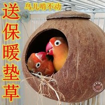 Peony Tiger Leather Pearl Moon Bird Nest Coconut Shell Nest of Warm Coconut shell Bird Nest Cockatoo-size Genesis -