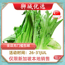 (Vegetable)Rapeseed 1kg Singapore local delivery