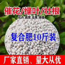 Flower Fattening Household Universal Compound Fertilizer Long-lasting Grain Seed Vegetable Mild Horticulture Diammonium Slow Release Potassium Fertilizer For Flowers And Flowers Flowers And Flowers